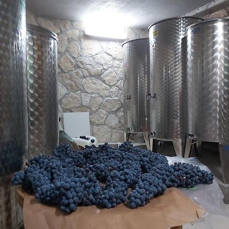 Apartman Genova Imotski Donji Vinjani 외부 사진